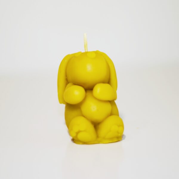 Year of the Rabbit Beeswax Candle