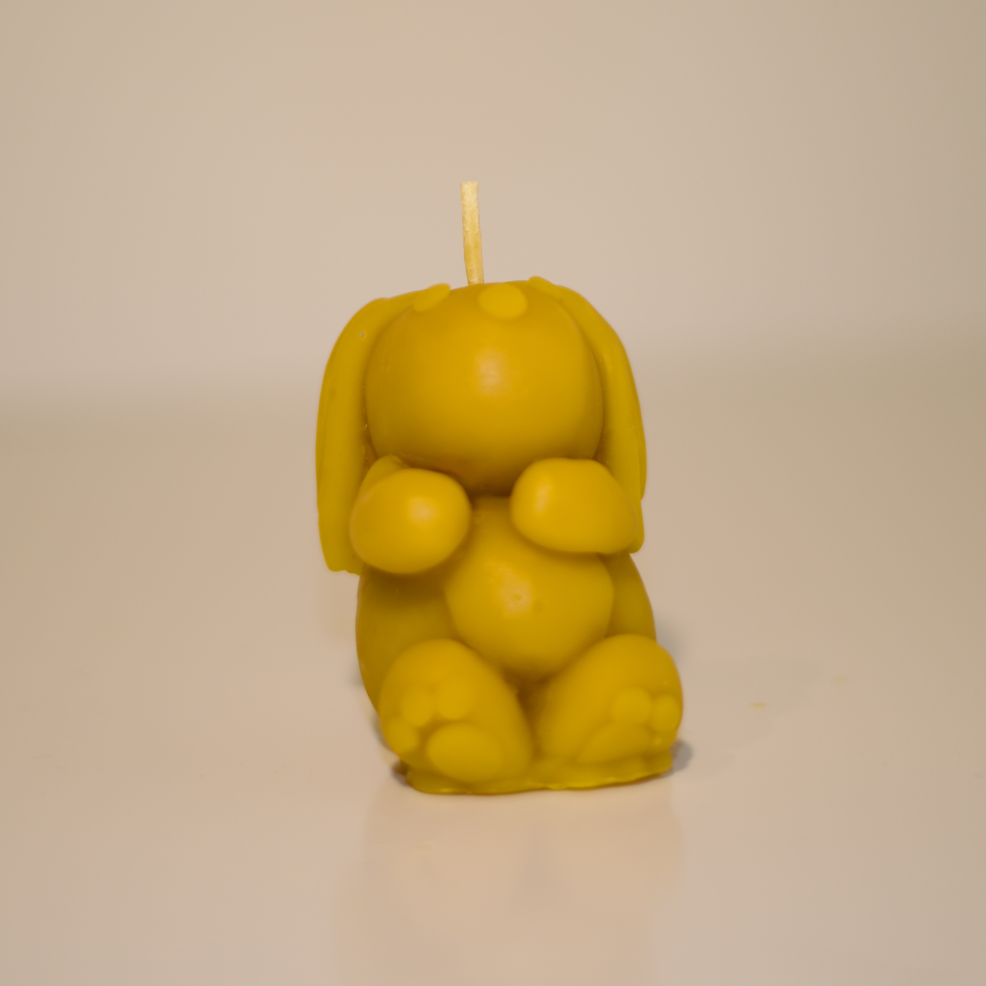 Year of the Rabbit Beeswax Candle